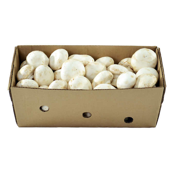 Champignons Blanc 5lbs #1 / White Mushroom 5lbs #1