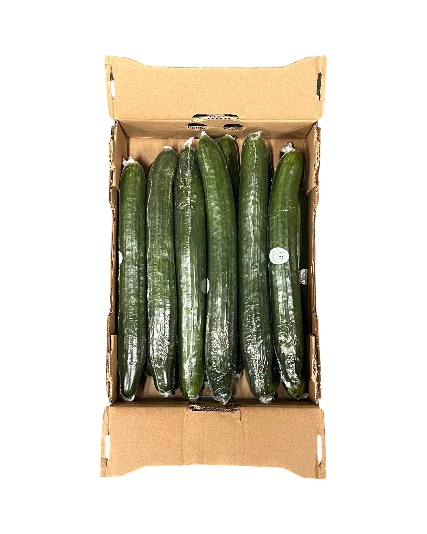 Concombre Anglais Large (12) / Large English Cucumber (12)