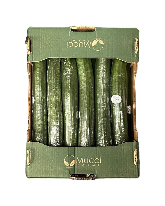 Concombre Anglais Large (12) / Large English Cucumber (12)